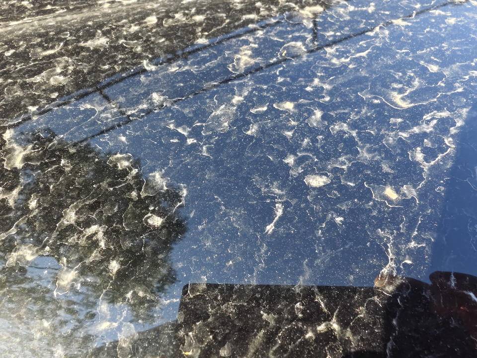 皇冠登一登二登三区别
_昨晚这场暴风骤雨皇冠登一登二登三区别
，让济南很多车辆变成“大花脸”