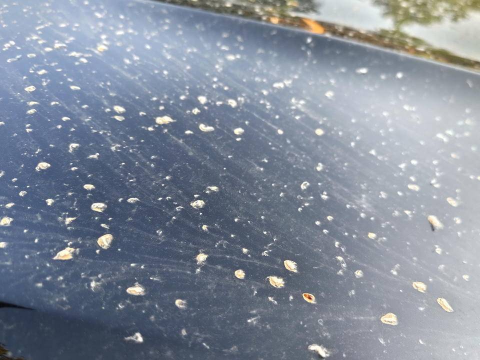 皇冠登一登二登三区别
_昨晚这场暴风骤雨皇冠登一登二登三区别
，让济南很多车辆变成“大花脸”