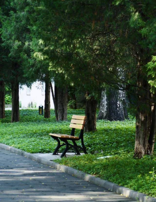 如何注册皇冠足球代理
_最便宜收费公园？北京一公园门票仅0.2元如何注册皇冠足球代理
，季票价3元