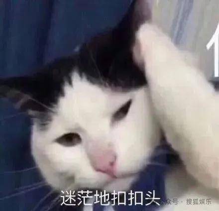 皇冠代理联系方式_离婚三年又被拍到亲密逛超市皇冠代理联系方式，他俩这是纯带娃还是真复合了？