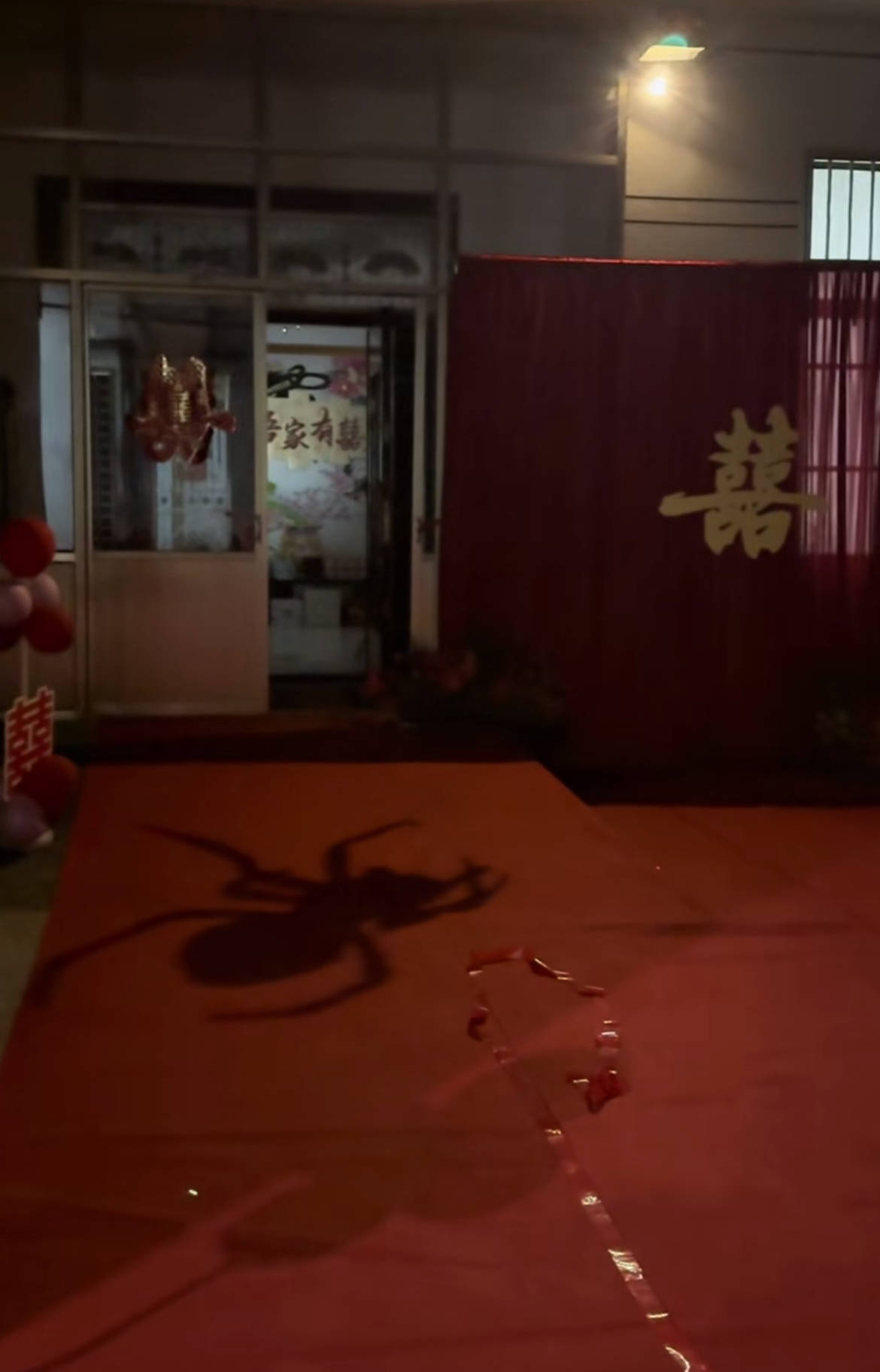 如何申请皇冠信用网
_山东一新娘家凌晨出现巨大蜘蛛的倒影如何申请皇冠信用网
，拍摄者：蜘蛛爬在灯泡上，网友：这才是喜结连理