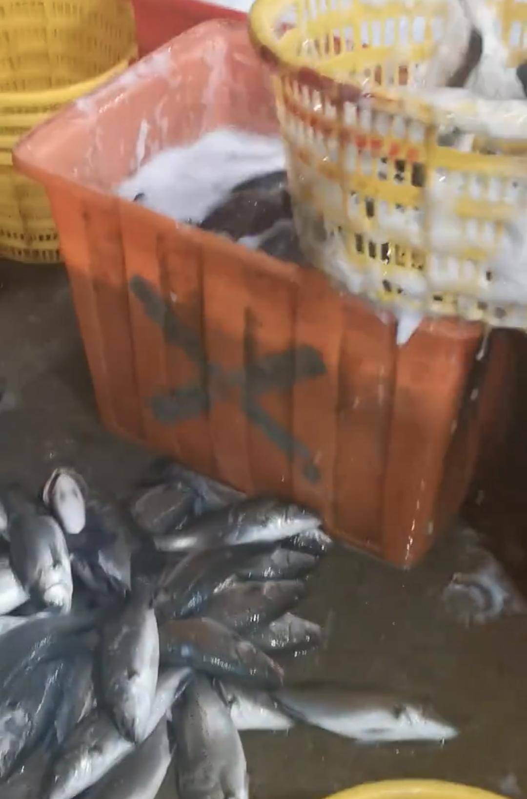 彩票信用盘出租
_水产市场“麻醉鱼”调查:有商家称麻药有味会换水再卖彩票信用盘出租
,有无危害尚不明,出台监管措施尚缺理论依据