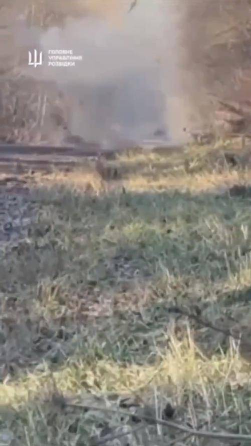 hga025怎么登录
_炸榛树导弹hga025怎么登录
，炸莫斯科，炸俄军上校，乌克兰豁出去，不怕被核打击