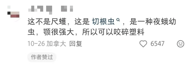 皇冠会员如何申请
_汽车被虫子啃得都是窟窿皇冠会员如何申请
，“一边咬一边往里钻”！很多人中招