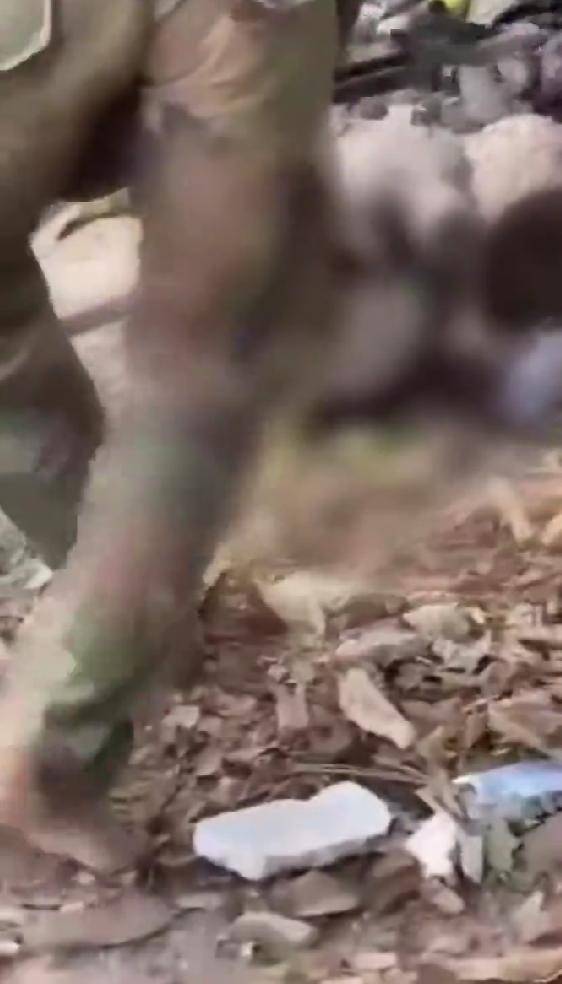 综合过关2串1 和 3串1有什么区别?
_就在刚刚综合过关2串1 和 3串1有什么区别?
,泰国军队遭最大惨败:柬埔寨敢死队手持56冲,光脚冲锋