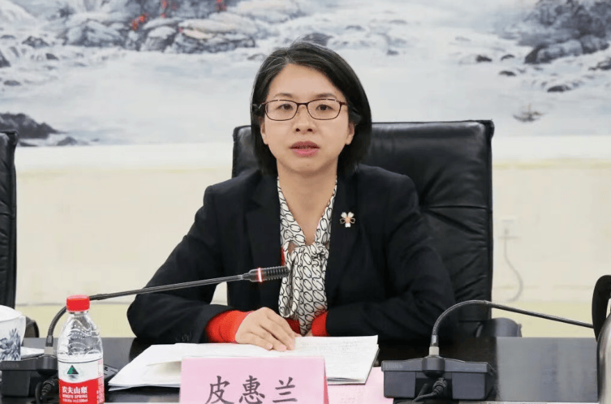 德国 vs 北爱尔兰
_共青团武汉市委书记皮惠兰履新武汉市委市直机关工委