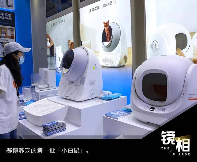 邓迪vs邓迪联
_AI养宠神器邓迪vs邓迪联
,收割年轻人