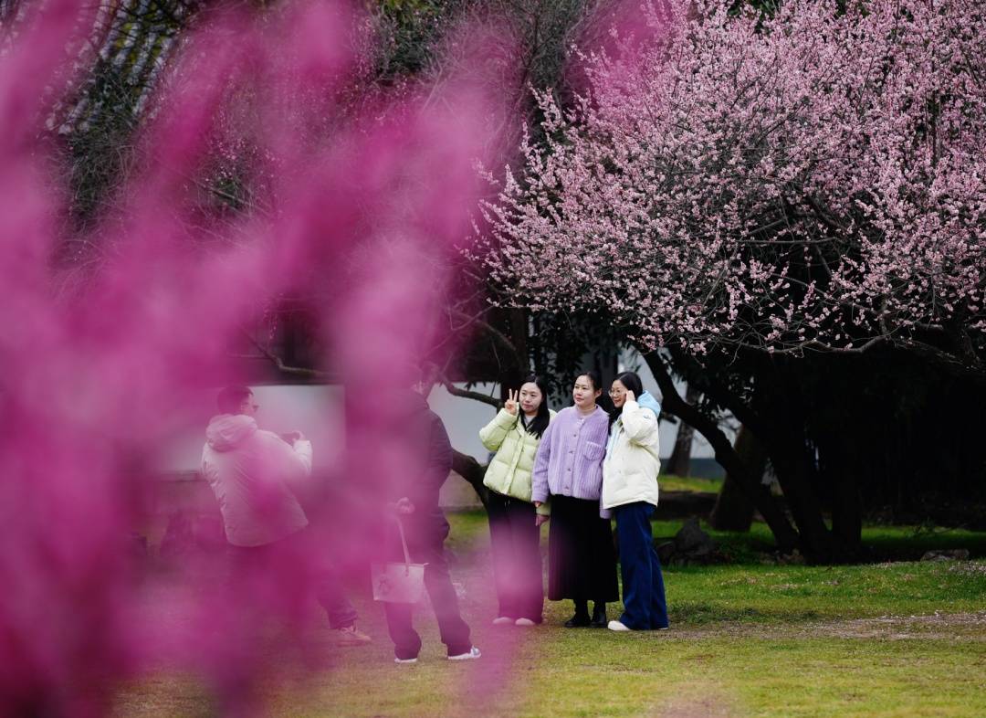 皇冠信用平台出租出售_直冲24℃!武汉多地提前出现皇冠信用平台出租出售,“过年就没见过”