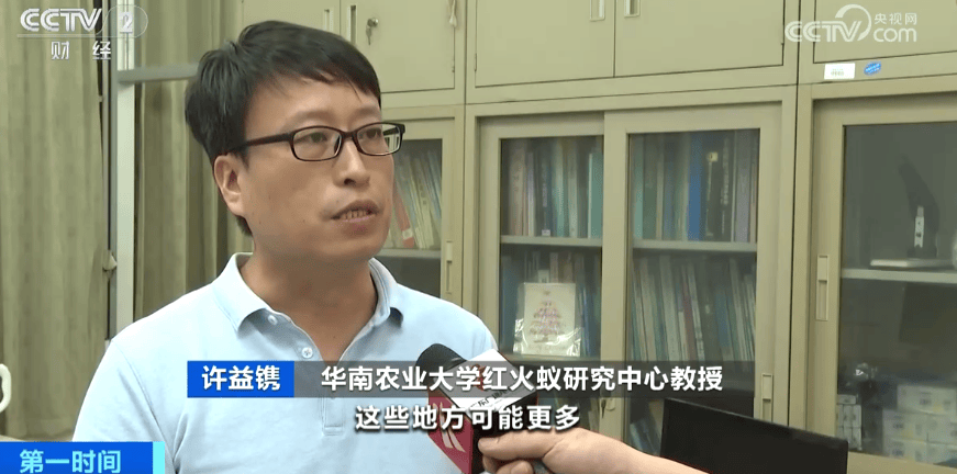 皇冠信用网登3_网友炸锅皇冠信用网登3！广东多个公园、绿化带中出现！深圳疾控紧急提醒：远离这种小土堆