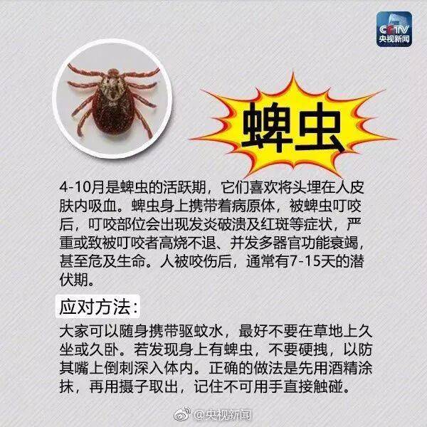 皇冠信用网登3_网友炸锅皇冠信用网登3！广东多个公园、绿化带中出现！深圳疾控紧急提醒：远离这种小土堆