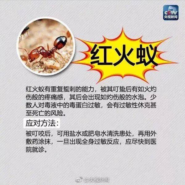 皇冠信用网登3_网友炸锅皇冠信用网登3！广东多个公园、绿化带中出现！深圳疾控紧急提醒：远离这种小土堆