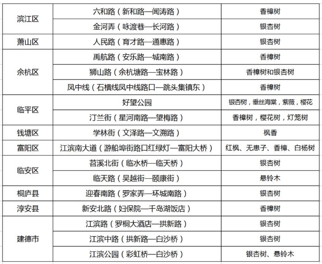 皇冠信用網在哪里开通_零下3℃！杭州人挺住皇冠信用網在哪里开通，连续两波！羽绒服要准备了……