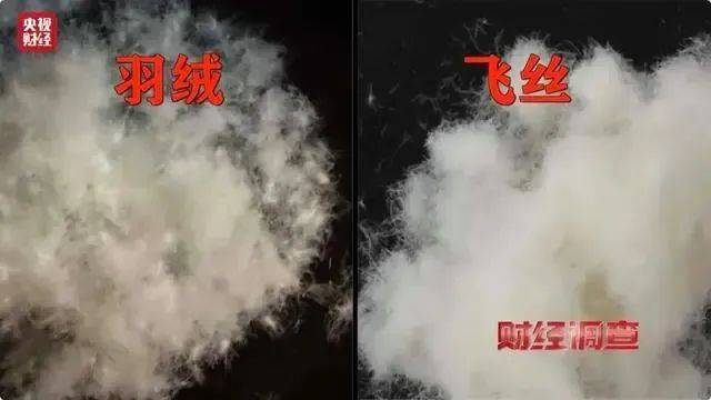 皇冠信用網申请条件_羽绒服爆大雷皇冠信用網申请条件！3000多元买的羽绒服拆开全是飞丝！许多网友剪开了自己的衣服……