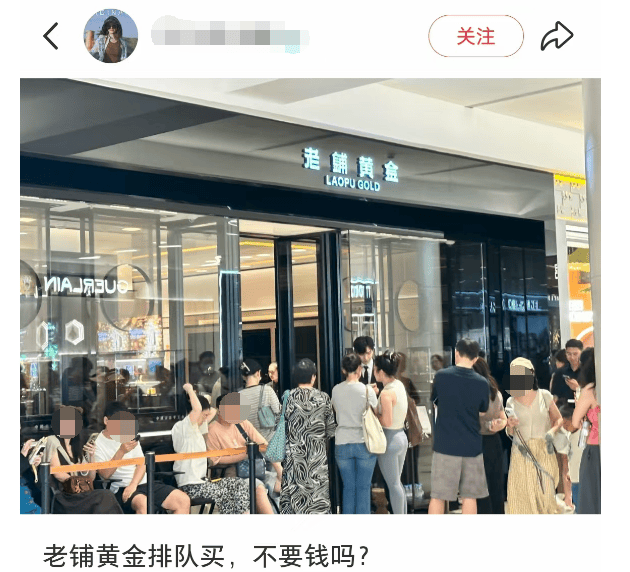 悉尼(青年) vs洛克达尔_突然悉尼(青年) vs洛克达尔，金价，爆了！