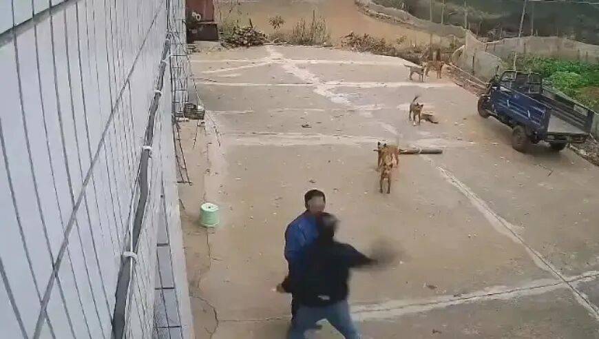 皇冠信用網正网
_男子家门口吃橘子被邻居一拳打昏皇冠信用網正网
,警方通报:因养狗问题起冲突,均有受伤