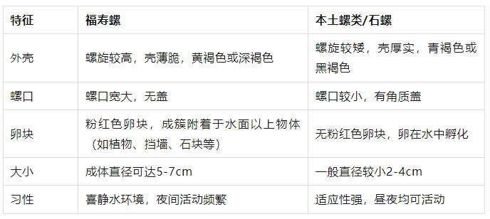 皇冠信用网登123出租_别吃！寄生虫多达6000条皇冠信用网登123出租，近期正大量出现，严重可致死
