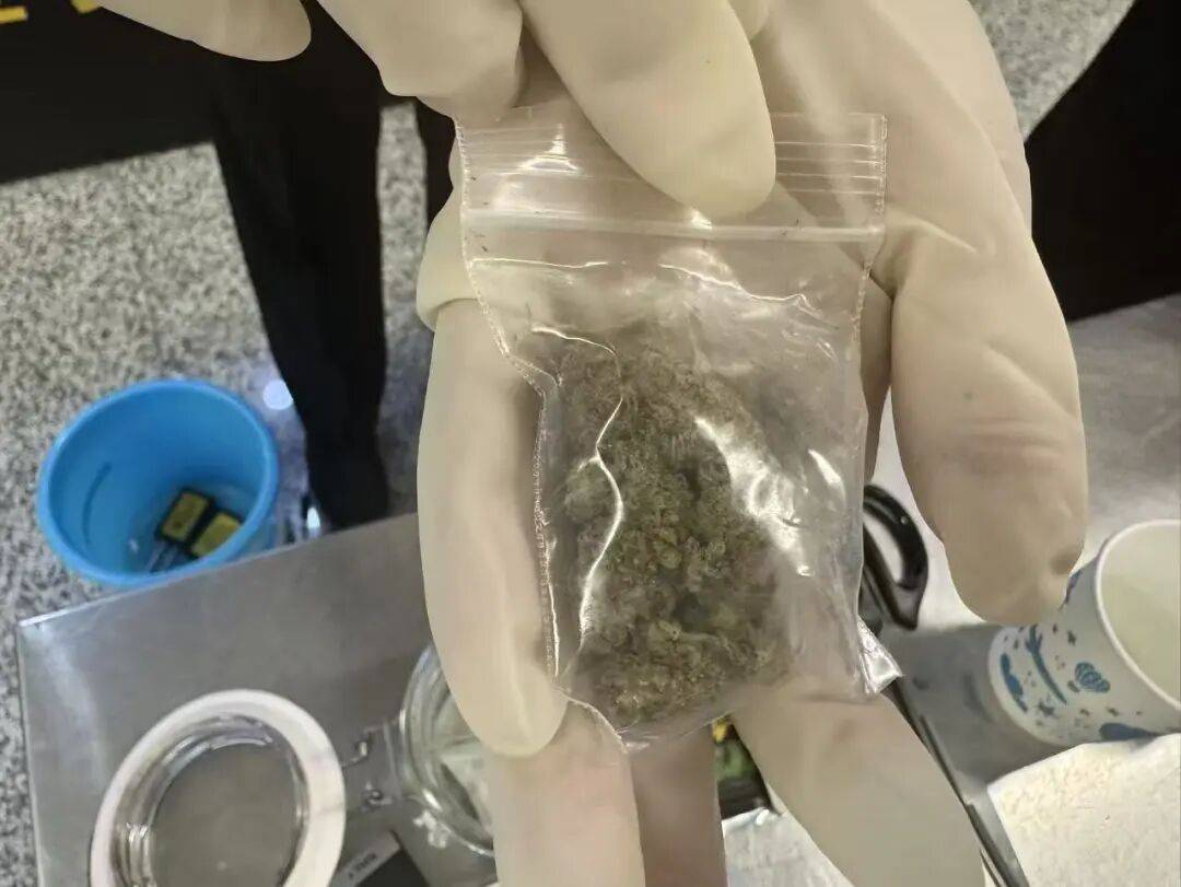世界杯代理注册_大麻11克、可卡因0.3克、管制药2粒……西安机场海关查获进境旅客“毒包裹”
