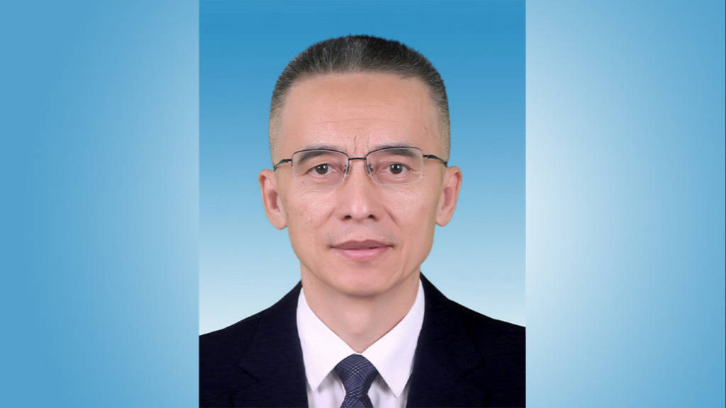立陶宛乙组联赛_新疆维吾尔自治区政府副主席、喀什地委书记聂壮当选自治区党委常委